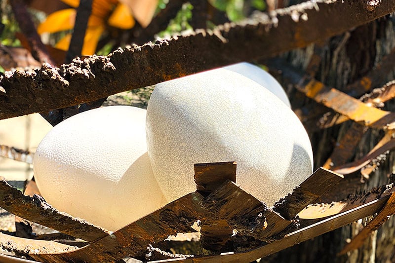 Huge scrap metal bird's nest with eggs handmade by Tread Sculptures in Melbourne, Australia