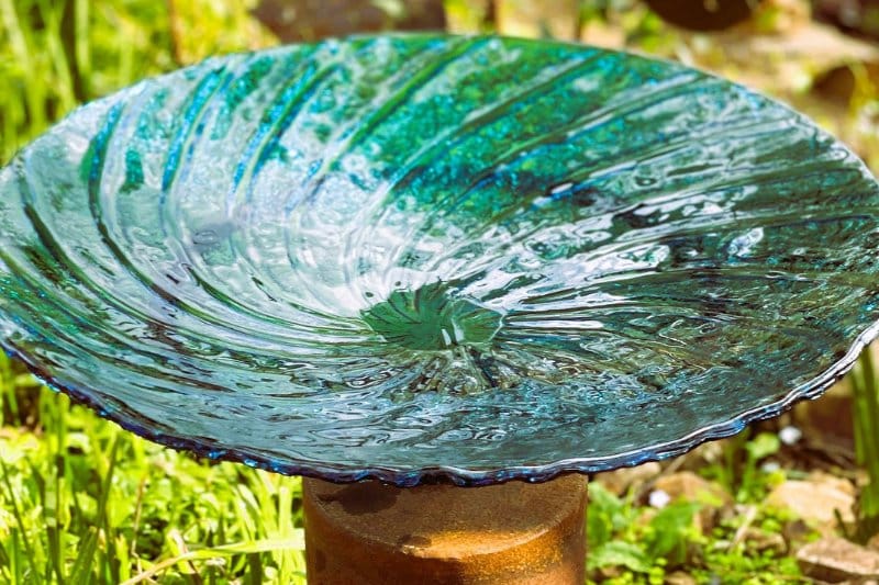 Recycled clear birdbath handmade by Tread Sculptures and Rob Hayley in Melbourne, Australia