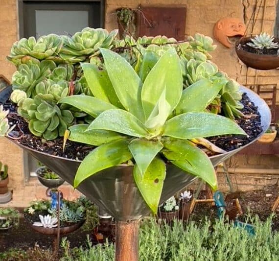 Upcycled stainless planter made from recycled metal