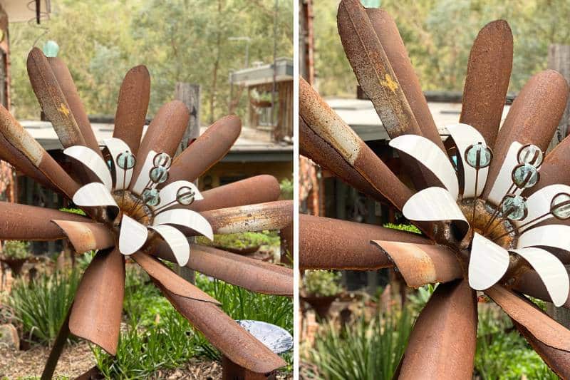 Scrap metal flower sculptures in Melbourne, Australia